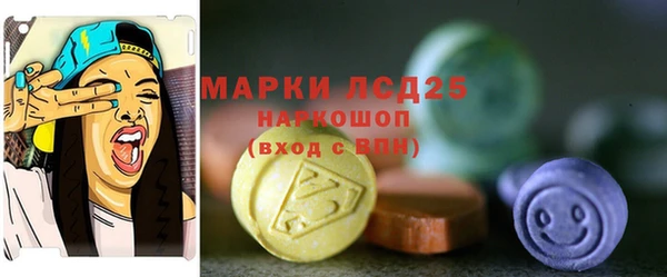 дживик Карпинск