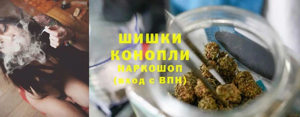 PSILOCYBIN Кинешма