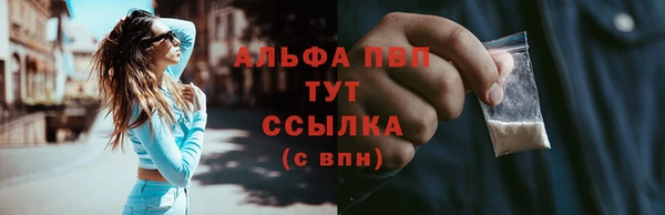 PSILOCYBIN Кинешма